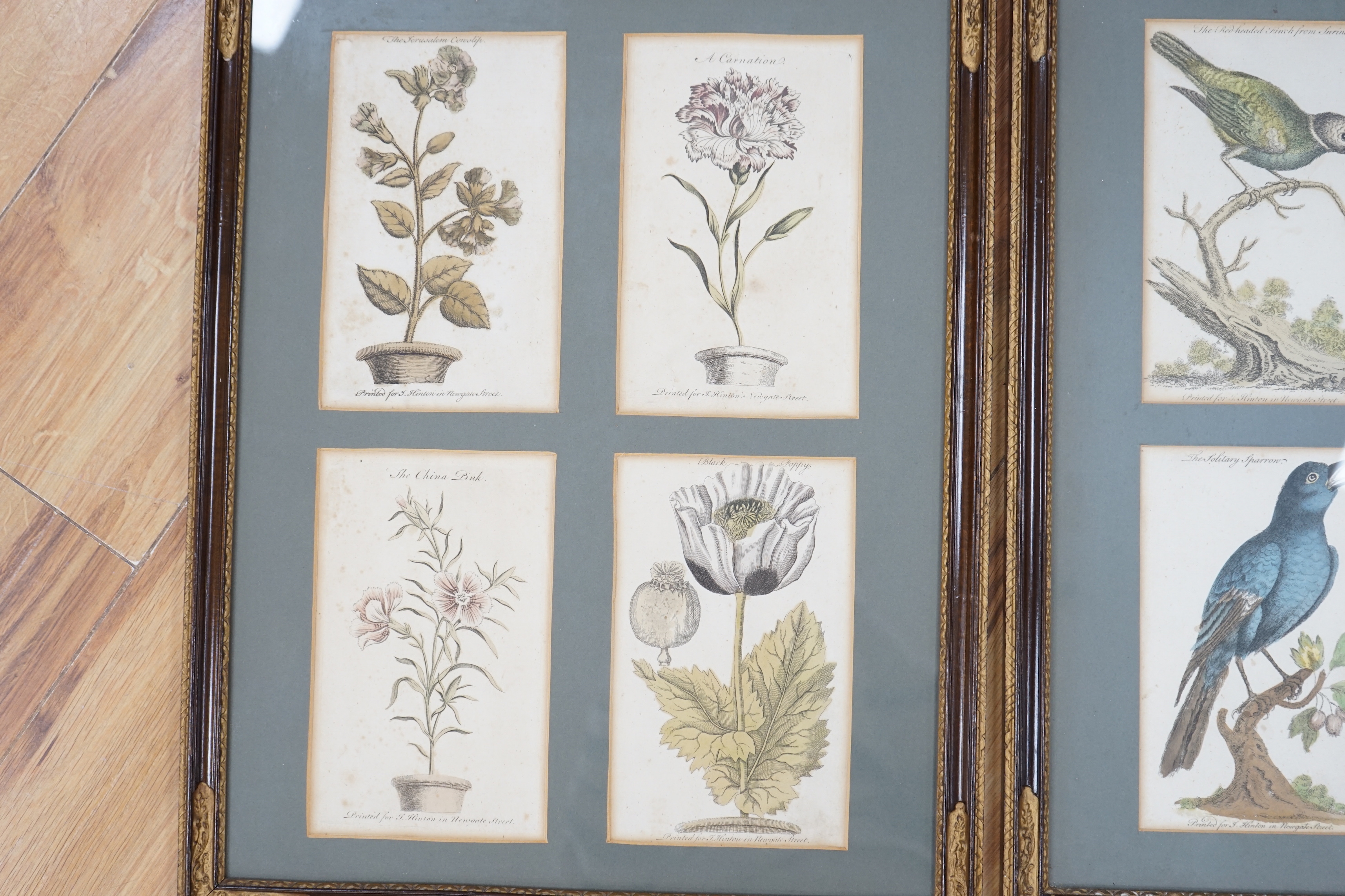 Four 18th century colour engravings, mounted and framed as a pair, Birds and flowers including The Solitary Sparrow and The Black Poppy, each printed for J Hinton, Newgate Street, each with book title pages verso, ‘a sup